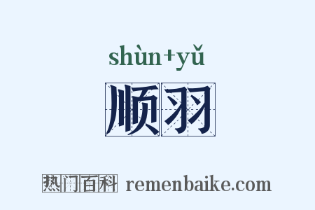 顺羽是什么意思的图片